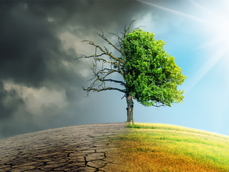 Climate Change Today