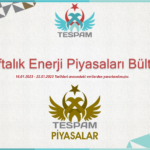 Haftalık Enerji Piyasası Bülteni 24.01.2023