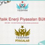 Haftalık Enerji Piyasası Bülteni 16.01.2023